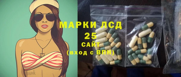 индика Армянск