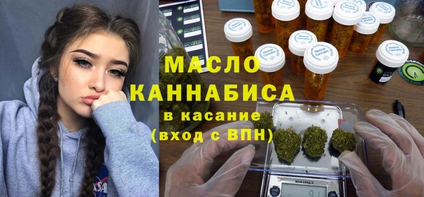 индика Армянск