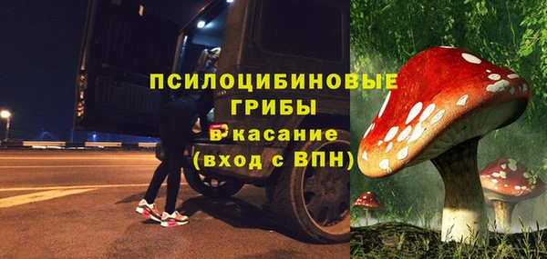 бутират Арсеньев