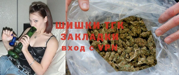 индика Армянск