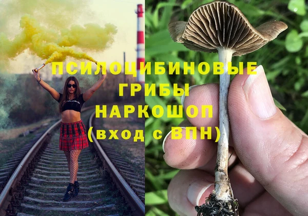 бутират Арсеньев